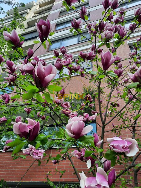 Emerald Residence, 4 camere, gradina, loc de joaca, 2 locuri parcare, boxa