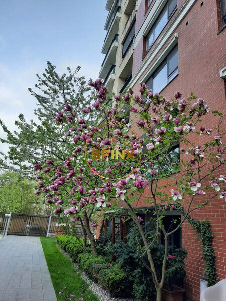 Emerald Residence, 4 camere, gradina, loc de joaca, 2 locuri parcare, boxa